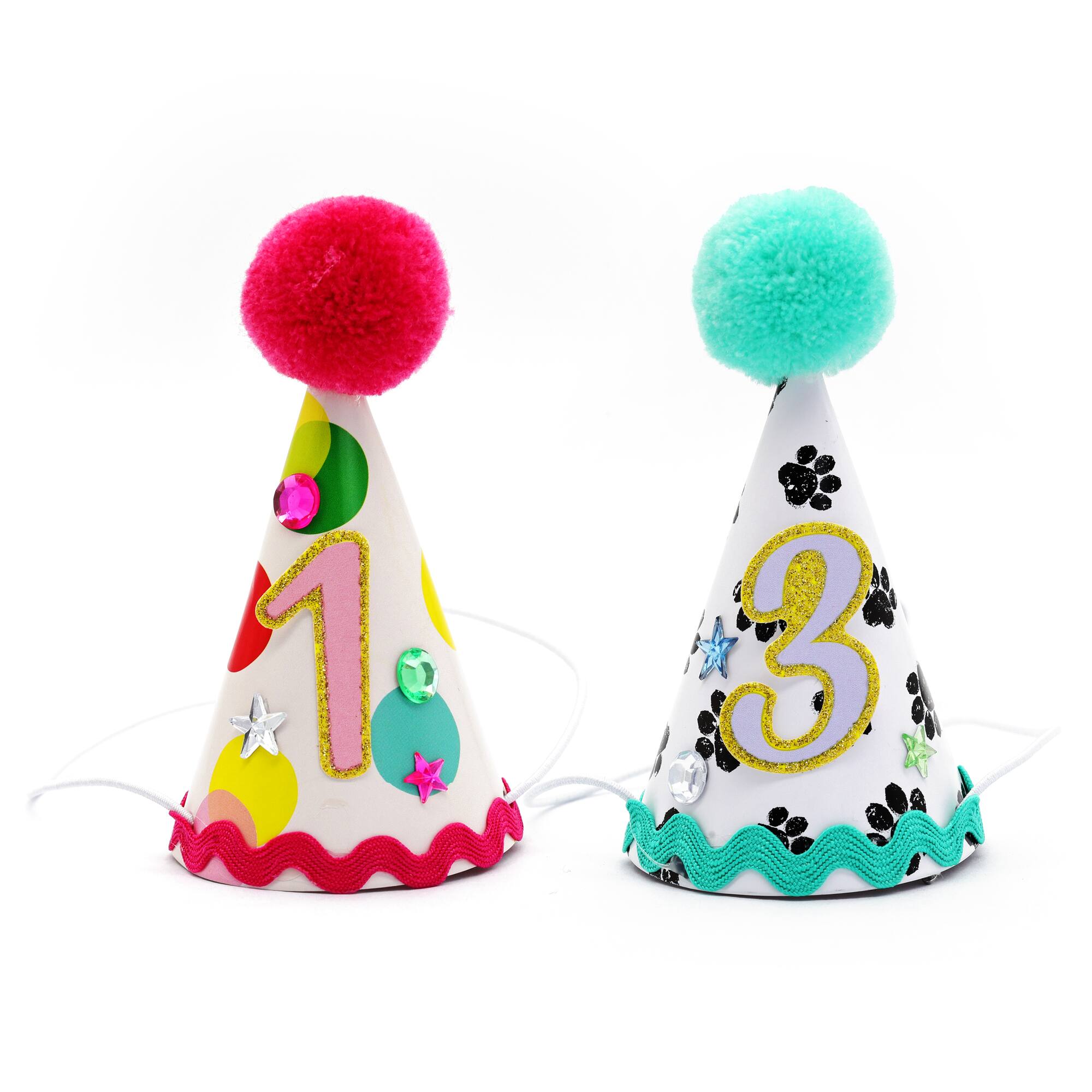 Assorted Small Pet Party Hat Set, 1pc. by Fab Finds